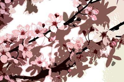 Japanese Blossom by Sarah OToole